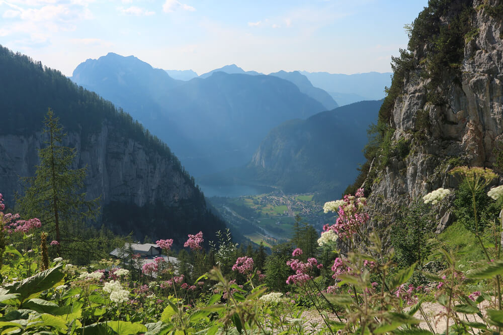 Versand nach Österreich