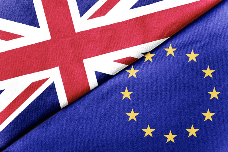 EU-UK customs issues cause delays
